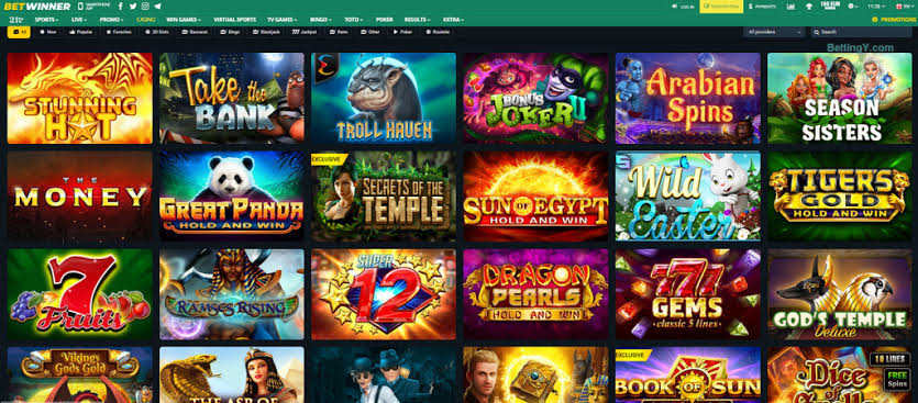 BetWinner Platform The Ultimate Betting Experience