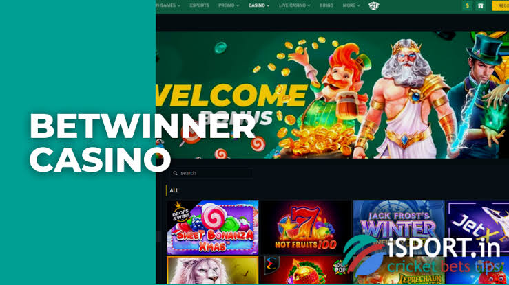 BetWinner Platform The Ultimate Betting Experience