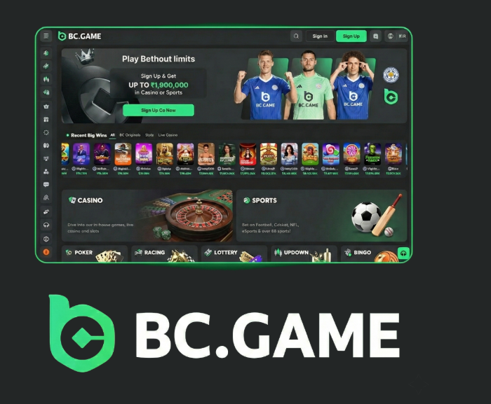 Understanding BC.Game Mirror Links A Comprehensive Guide Understanding BC.Game Mirror Links A Comprehensive Guide
